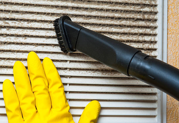 Best Mold and Mildew Removal from Ducts in Richfield, MN